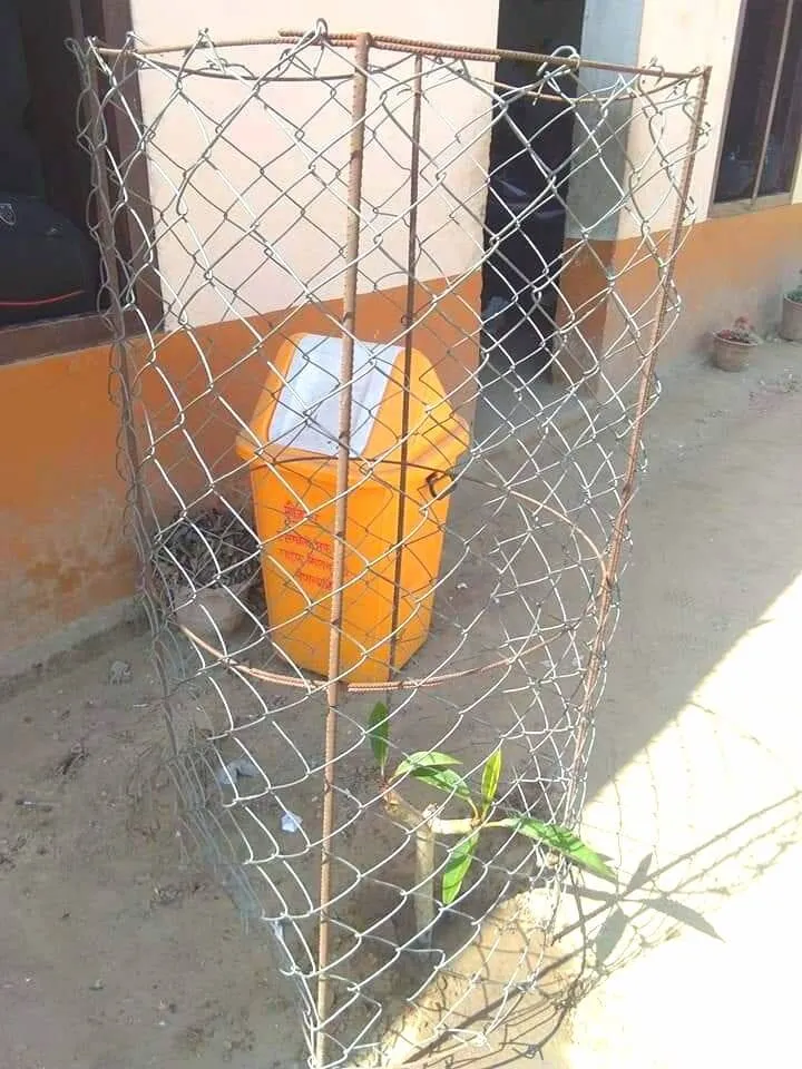 Green Seekers Activity